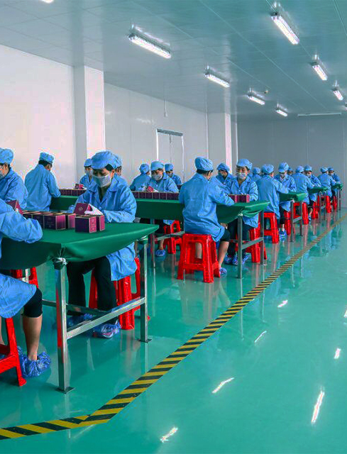 Packaging assembly line in a clean workshop