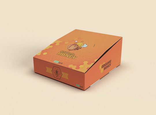 Printed counter display box for retail products